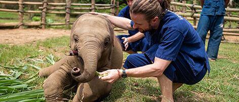 Wildlife Conservation Volunteer Abroad Projects